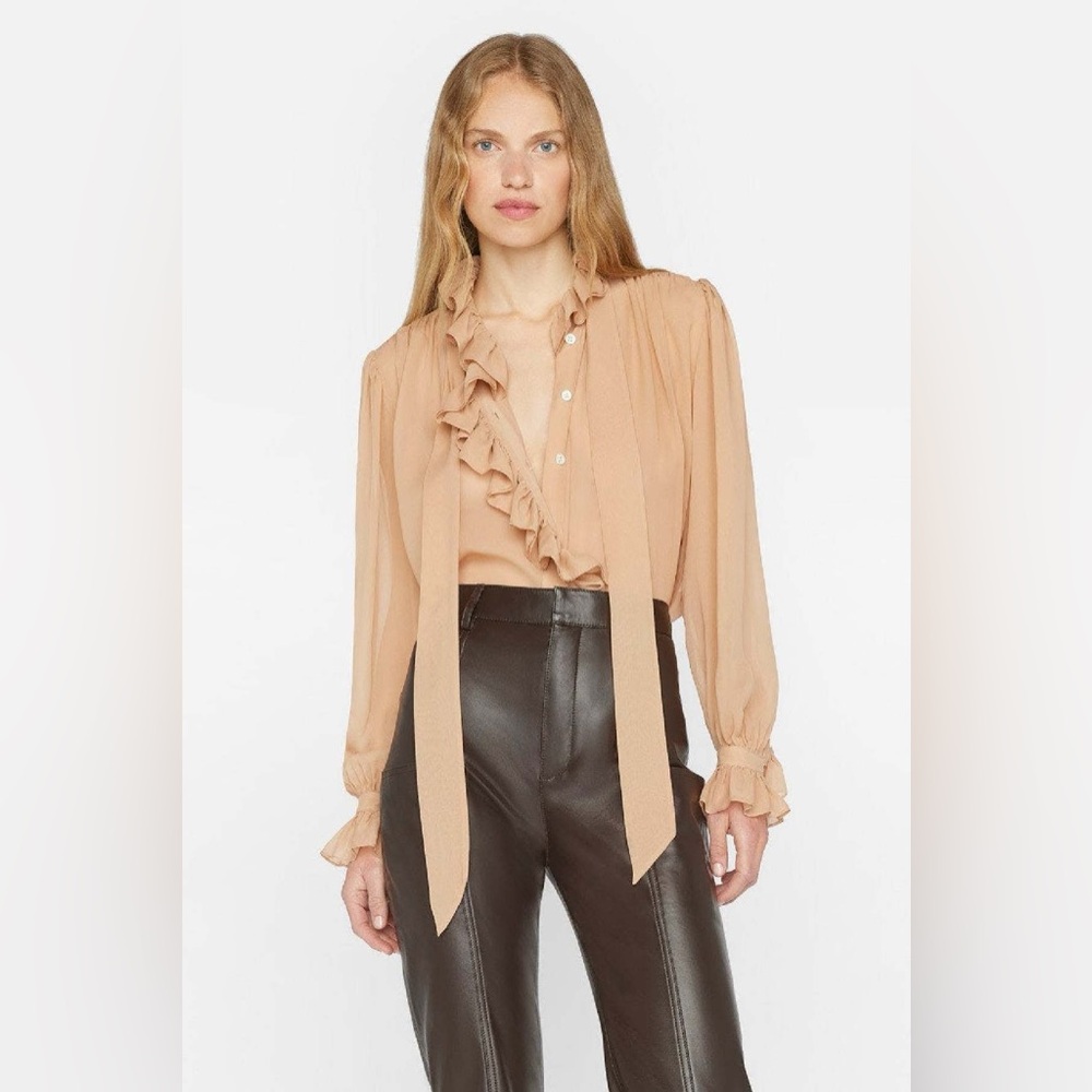 NWT $428 Frame Ruffle Front Button Up Sheer Shirt - Blush